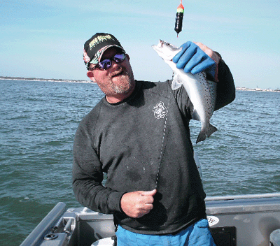 Click to Enlarge Photo