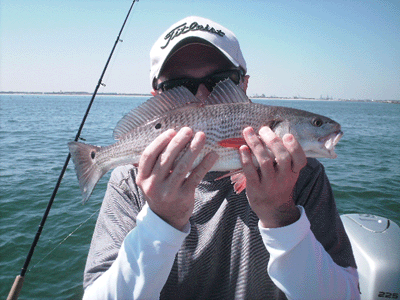 Click to Enlarge Photo