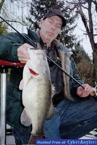 Largemouth Bass From Delaware