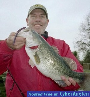 Largemouth Bass From Delaware