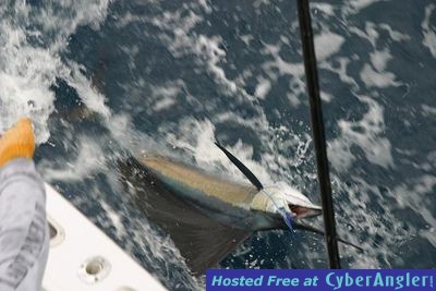 Click to Enlarge Photo