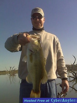 Justin 6lb