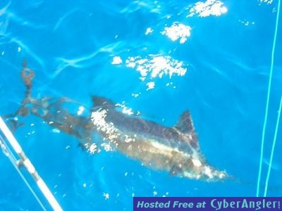 Click to Enlarge Photo