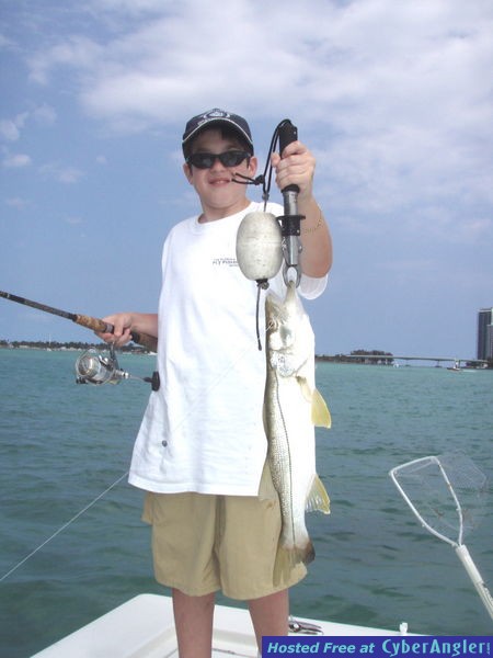 Click to Enlarge Photo