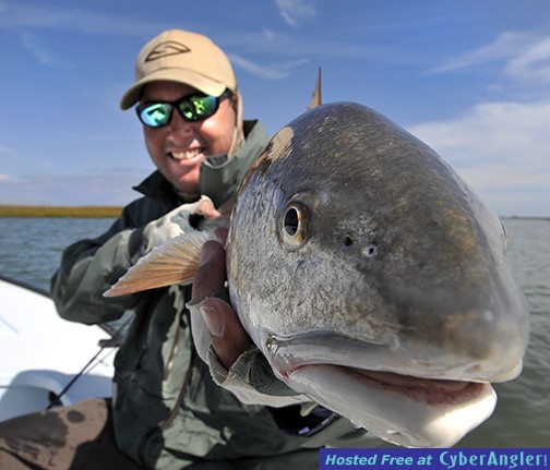 FinAddict Charters