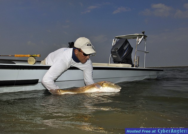 FinAddict Charters