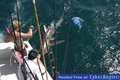 Click to Enlarge Photo