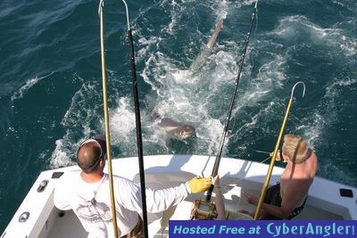 Click to Enlarge Photo