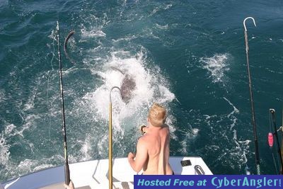 Click to Enlarge Photo