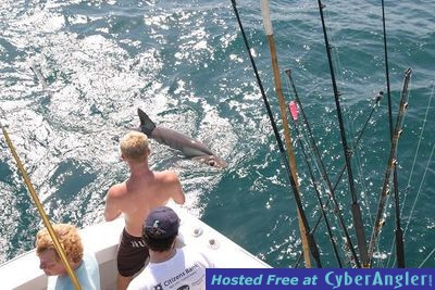 Click to Enlarge Photo