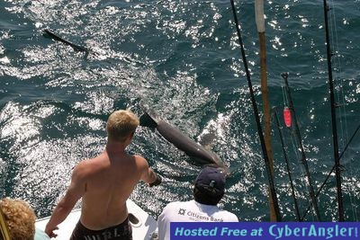 Click to Enlarge Photo