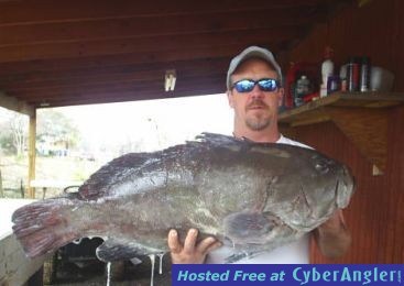 BIG Slimy Sow Grouper (Whipasnapa Charters)