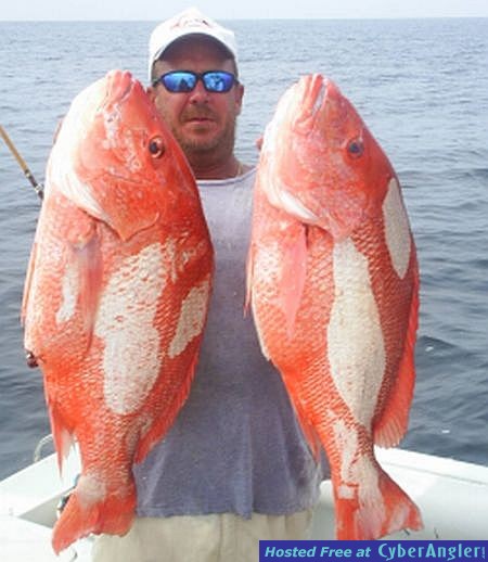 Big SOW Red Snapper aboard Whipasnapa Charters