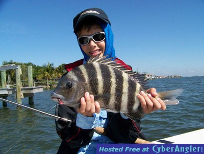 Sheepshead