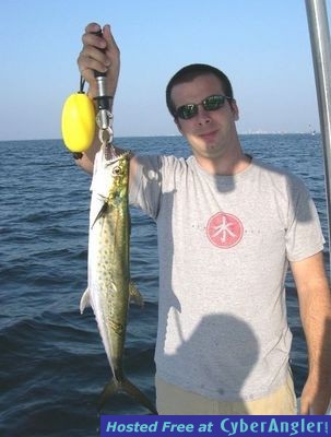 Click to Enlarge Photo