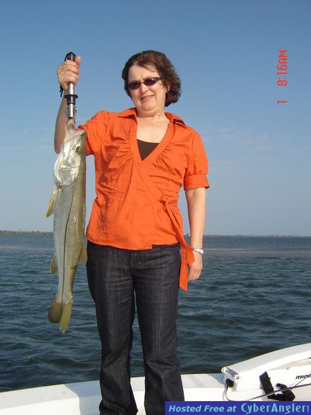 Pine Island Sound snook