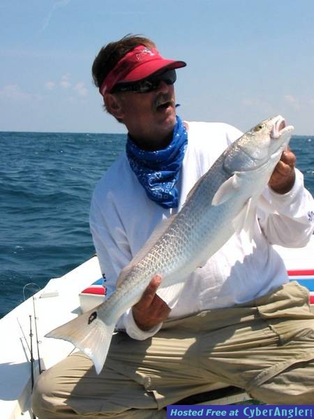 redfish