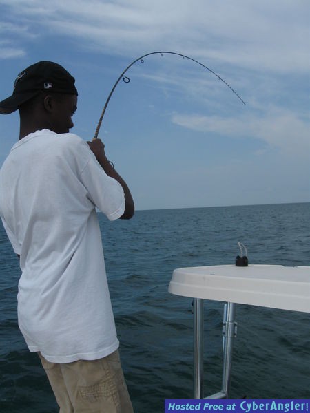 Click to Enlarge Photo