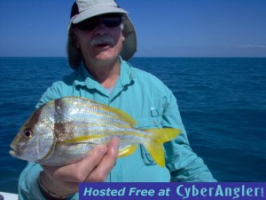 porkfish