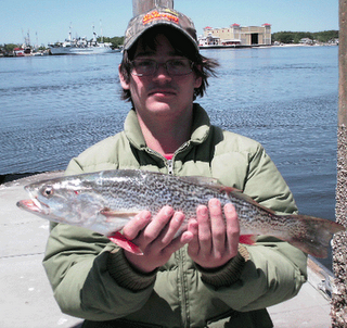 Click to Enlarge Photo