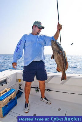 Jorge's Black Grouper