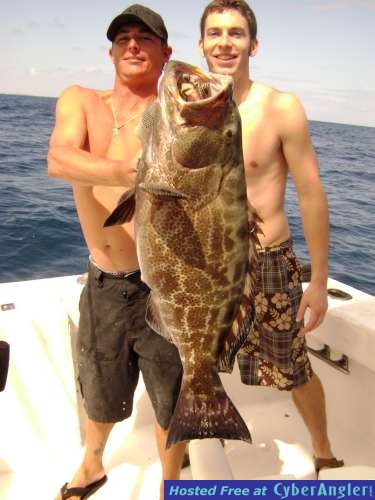 Big grouper