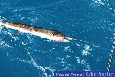 Click to Enlarge Photo