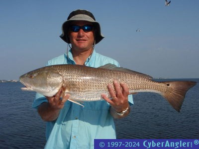 Click to Enlarge Photo