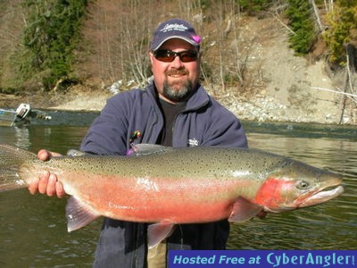 skeena river steelhead