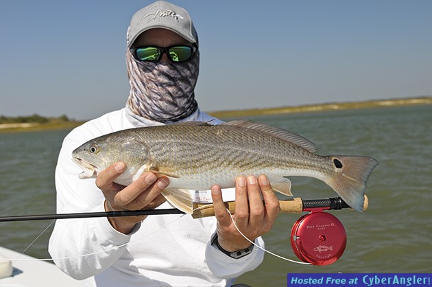 FinAddict Charters