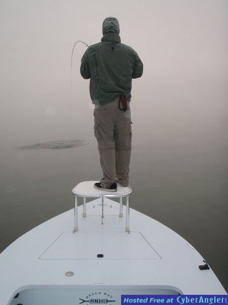 FinAddict Charters