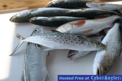 Click to Enlarge Photo