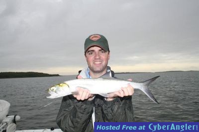 Click to Enlarge Photo