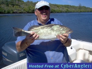 23 inch gag grouper