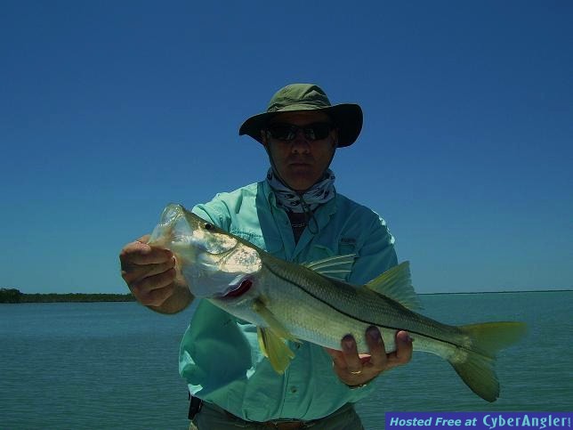 Click to Enlarge Photo