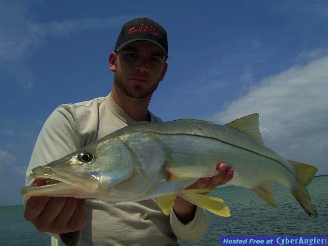 Click to Enlarge Photo