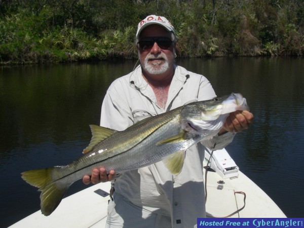 Snook