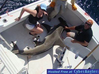 Click to Enlarge Photo