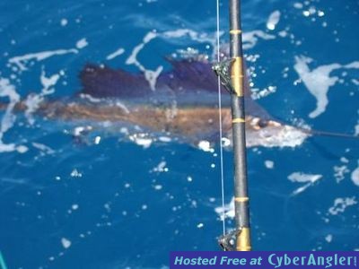 Click to Enlarge Photo