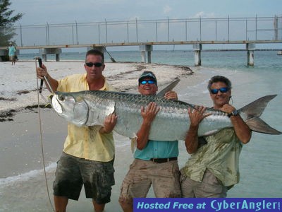 200+ Pound Tarpon