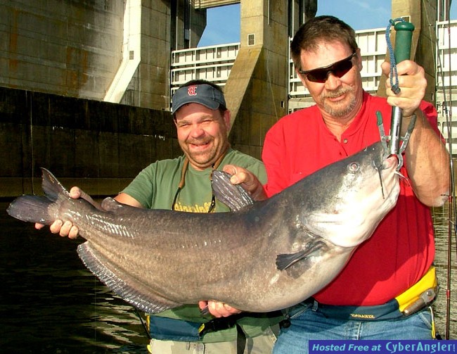 Click to Enlarge Photo