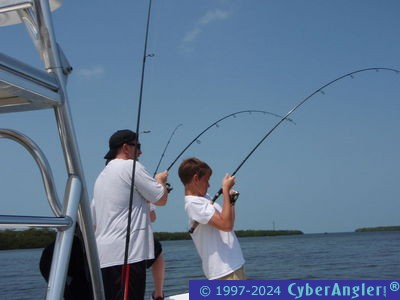 Click to Enlarge Photo