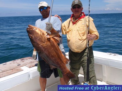 CUBERA SNAPPER IN PANAMA