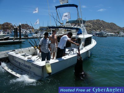 Click to Enlarge Photo