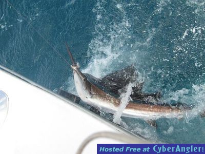 Click to Enlarge Photo