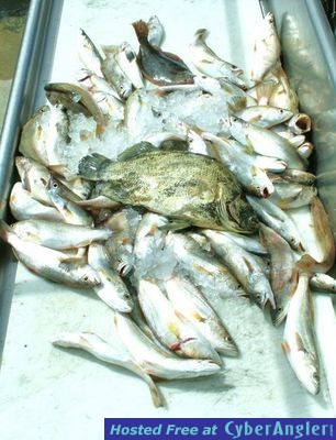 Click to Enlarge Photo