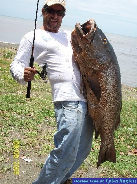 Tavo Big Cubera Snapper