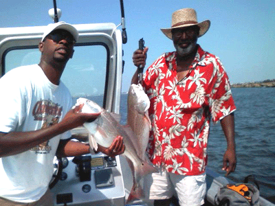 Click to Enlarge Photo