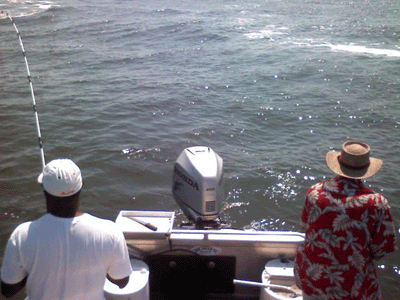 Click to Enlarge Photo