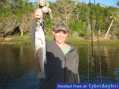 Click to Enlarge Photo